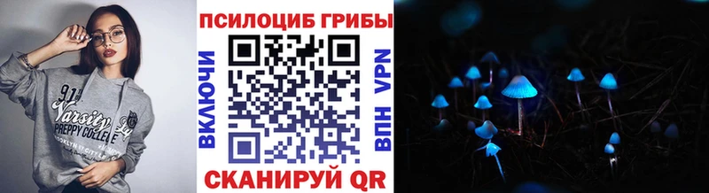 дарнет шоп  Жирновск  Галлюциногенные грибы Cubensis 